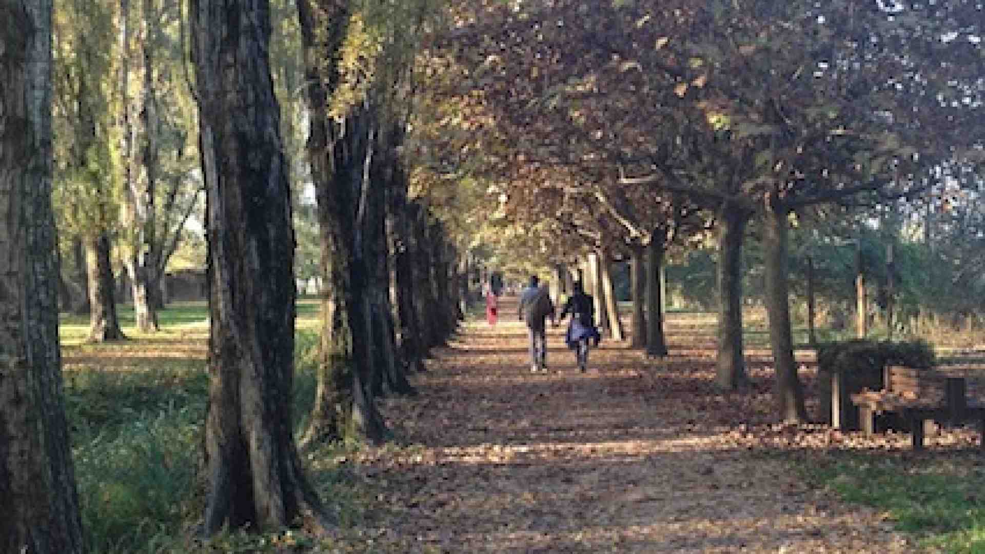 Una struttura perfetta in un ambiente ritrovato