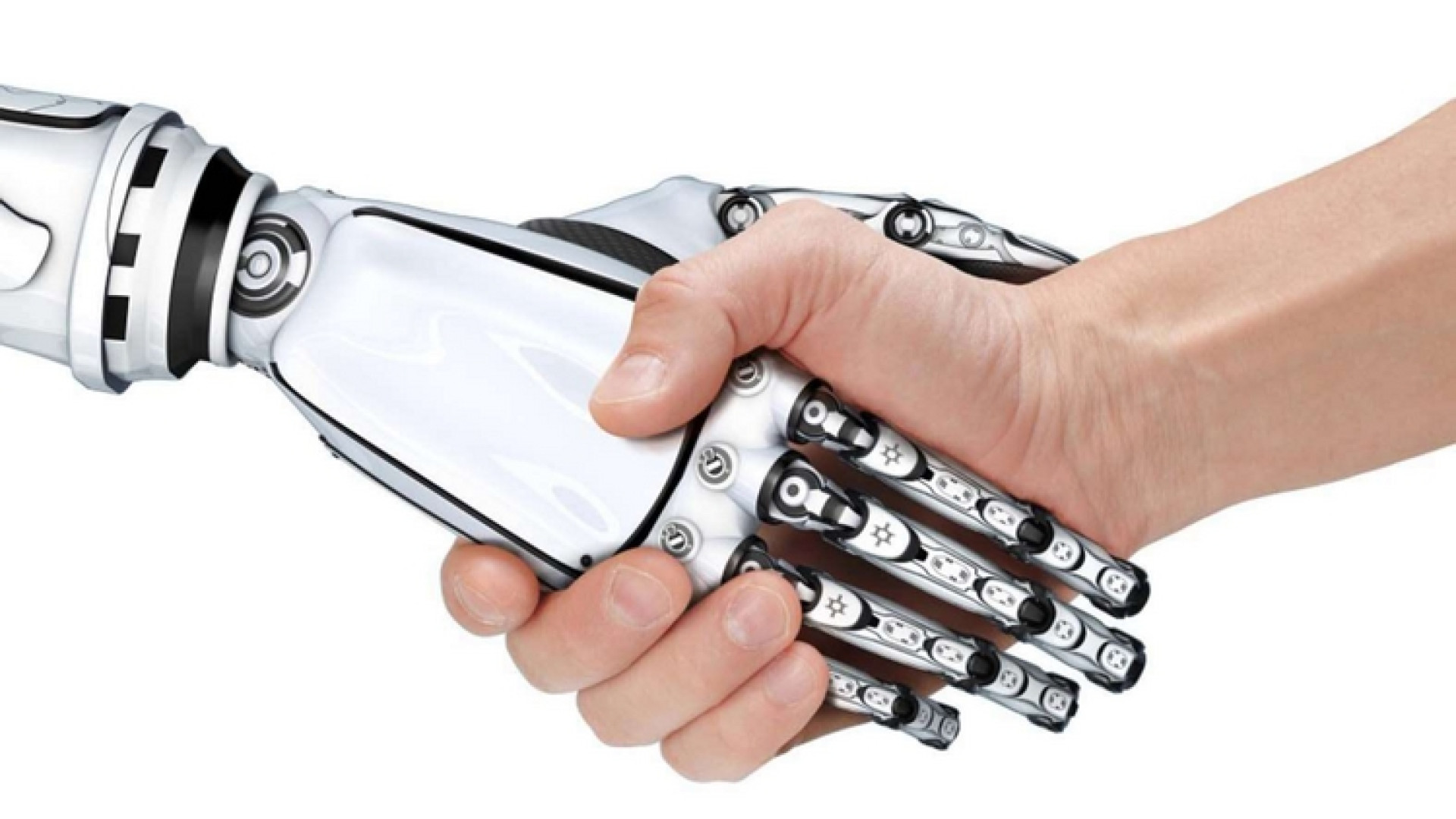 Stampanti per pareti, fiumi di acquaponica: ecco l'Italia che innova