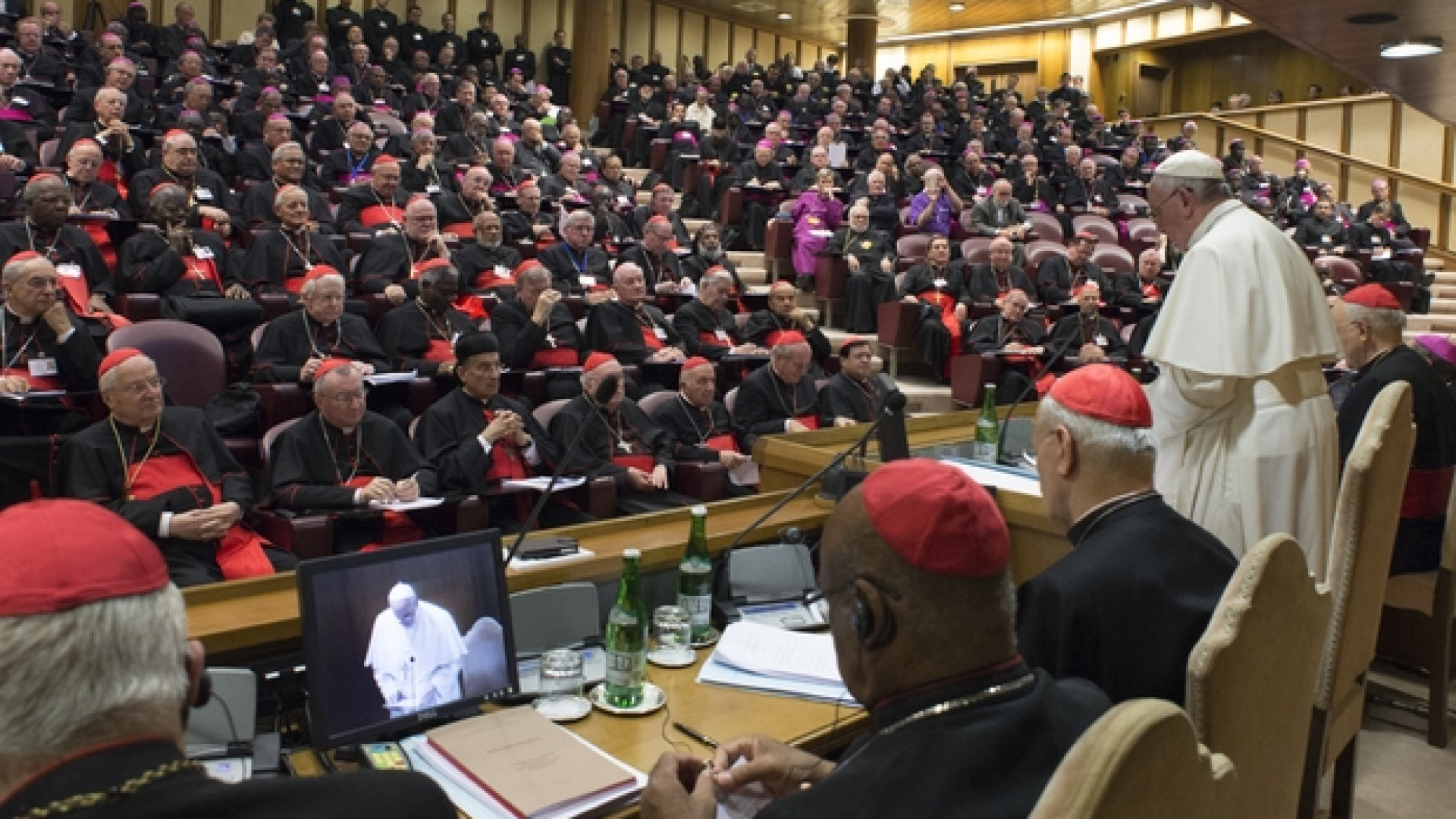 Amoris laetitia, onda di bene