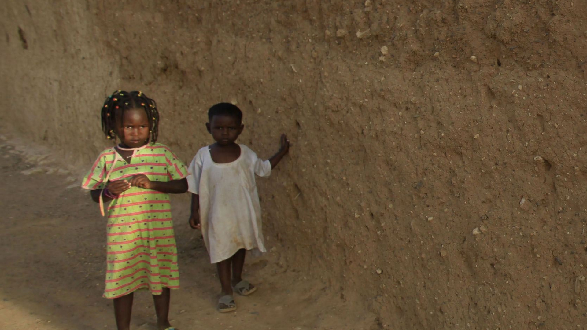 Traffico di organi, un velo da alzare