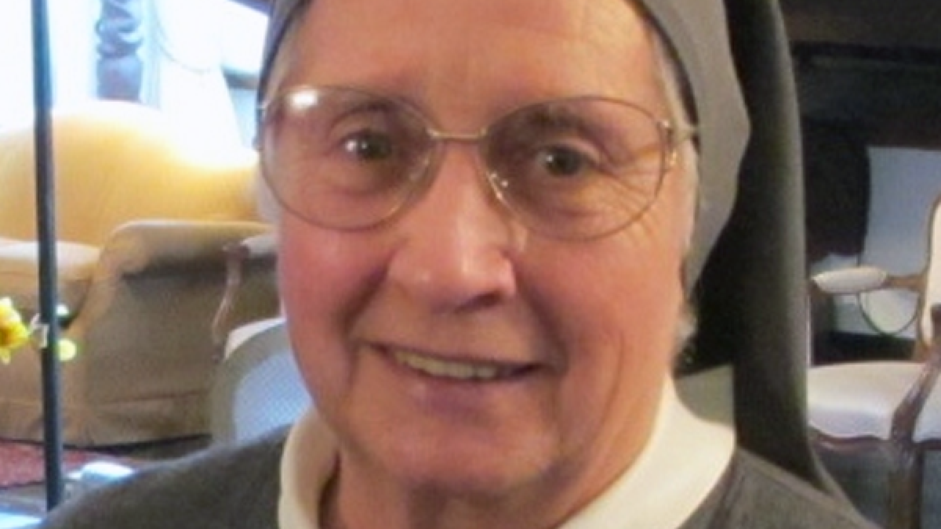 Il «branco» che agisce ogni notte