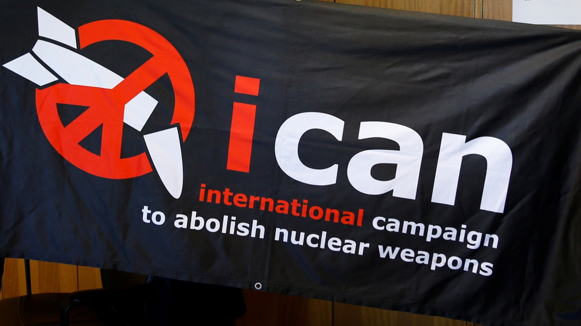 Il Papa: con le armi nucleari il mondo rischia il suicidio