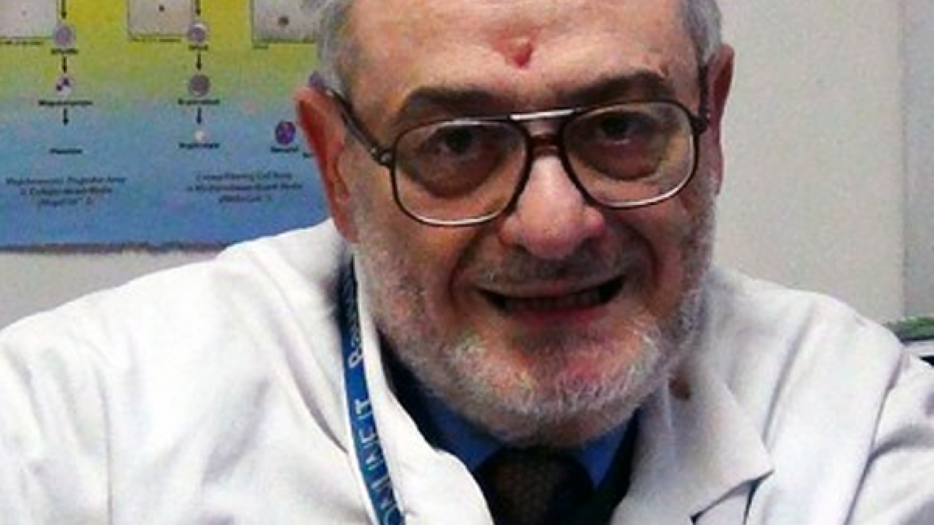 Vita da macachi (l’uomo resti uomo)