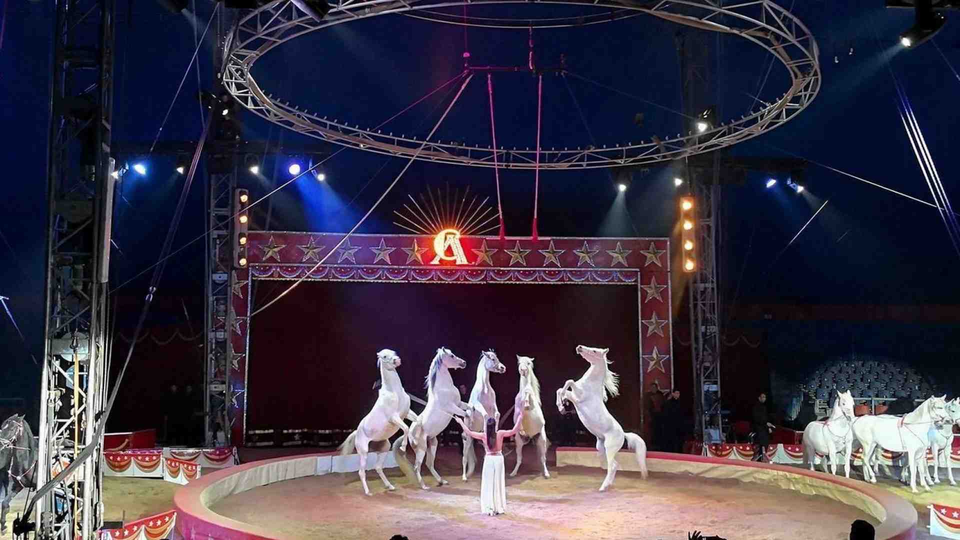 Lo spettacolo circense diventa dono