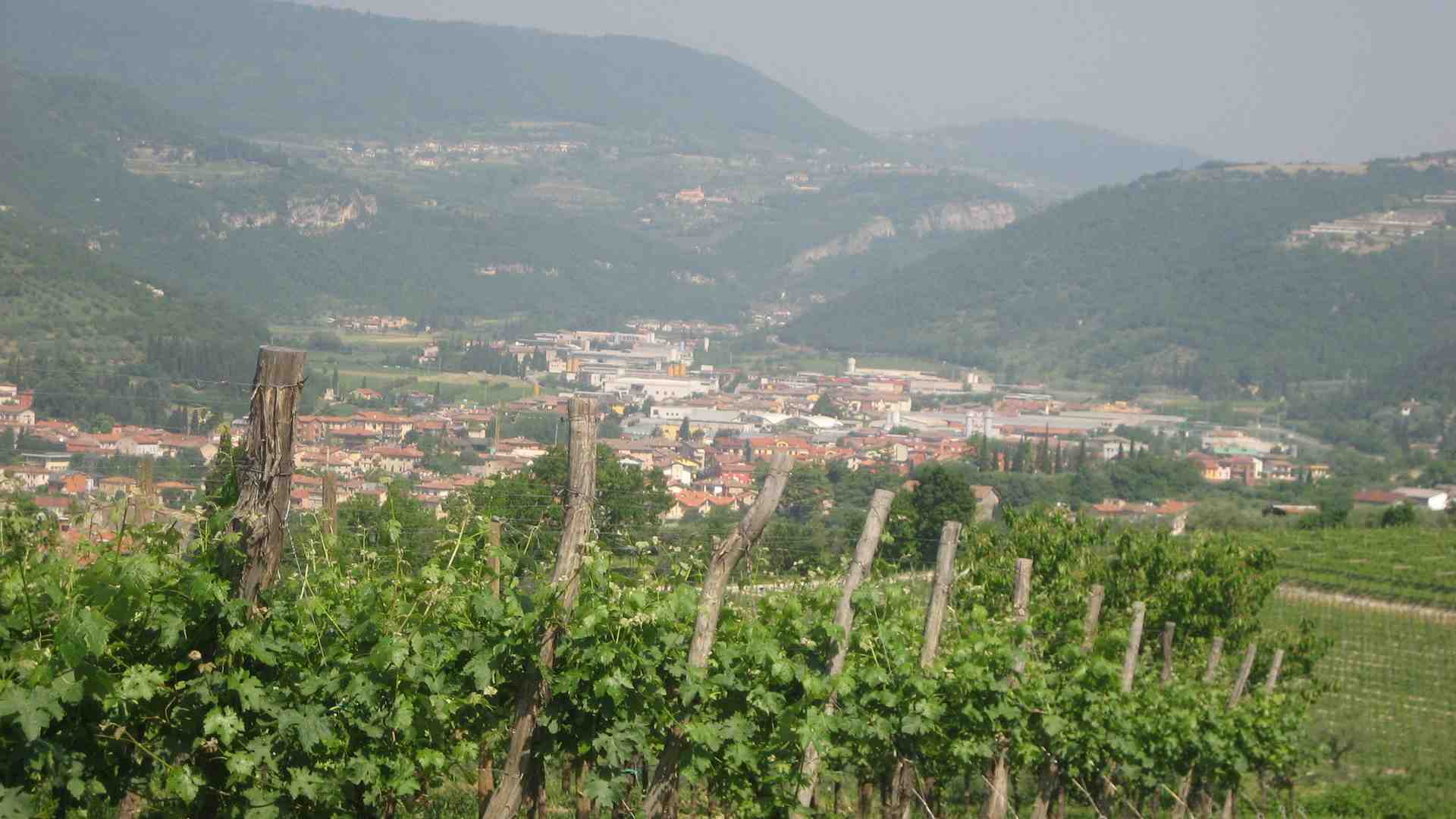 Festa degli artigiani della Valpantena e della Lessinia