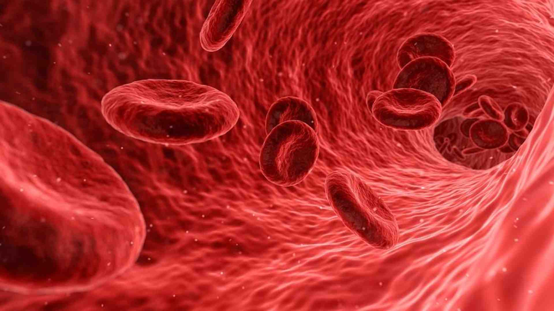 È indispensabile e non si fabbrica: cos'è? Il sangue