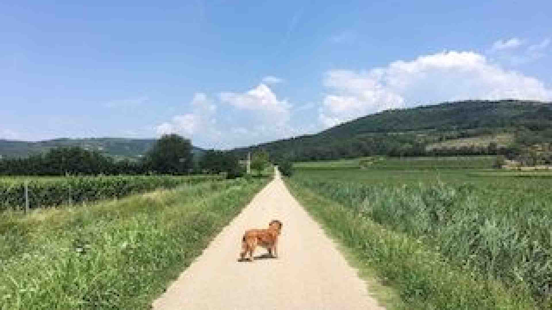 Appena fuori San Martino tra campagne e boschi