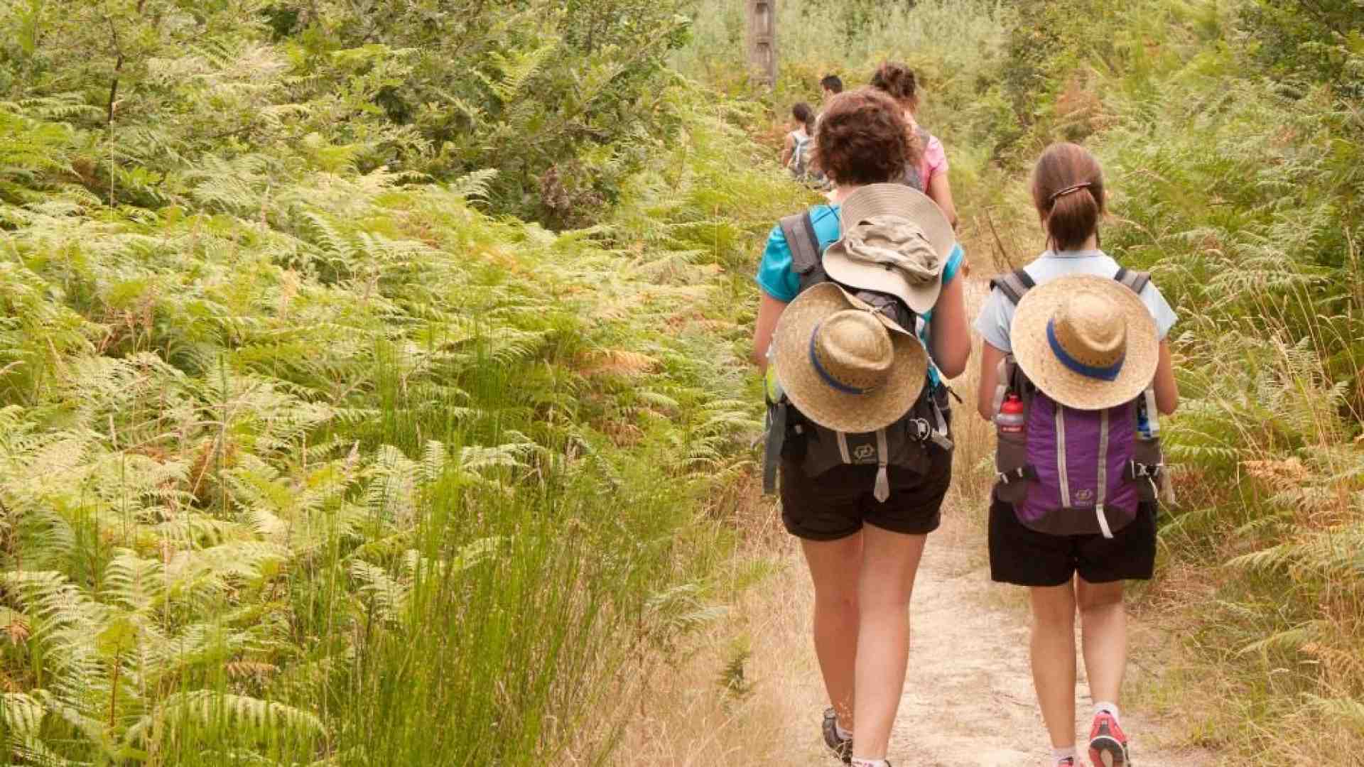 In cammino verso il Sinodo