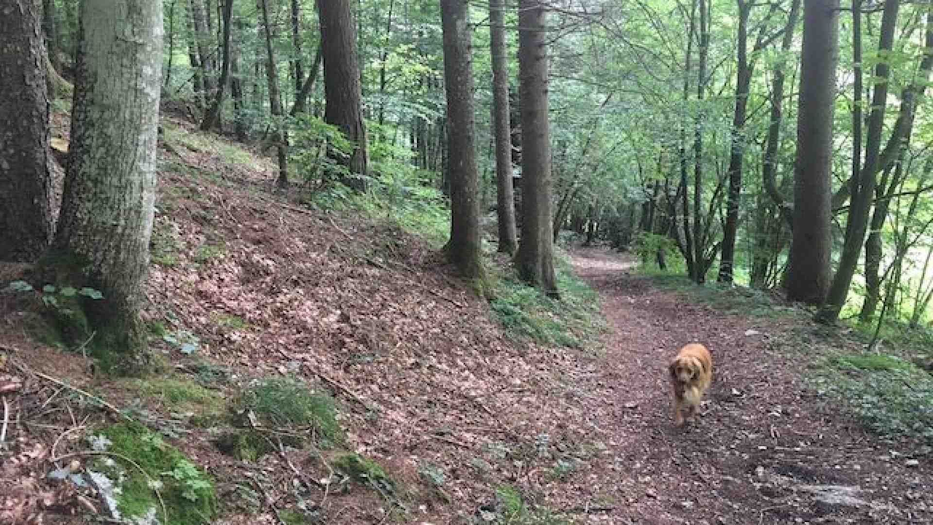 Dalle contrade cimbre al fresco del Vajo dell’Anguilla