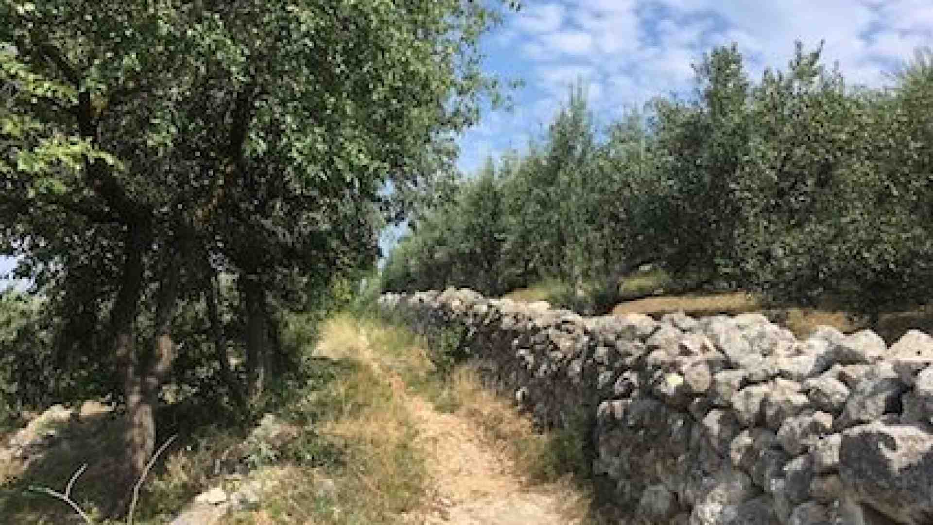 Dal colle di San Rocchetto una panoramica su tutta la città