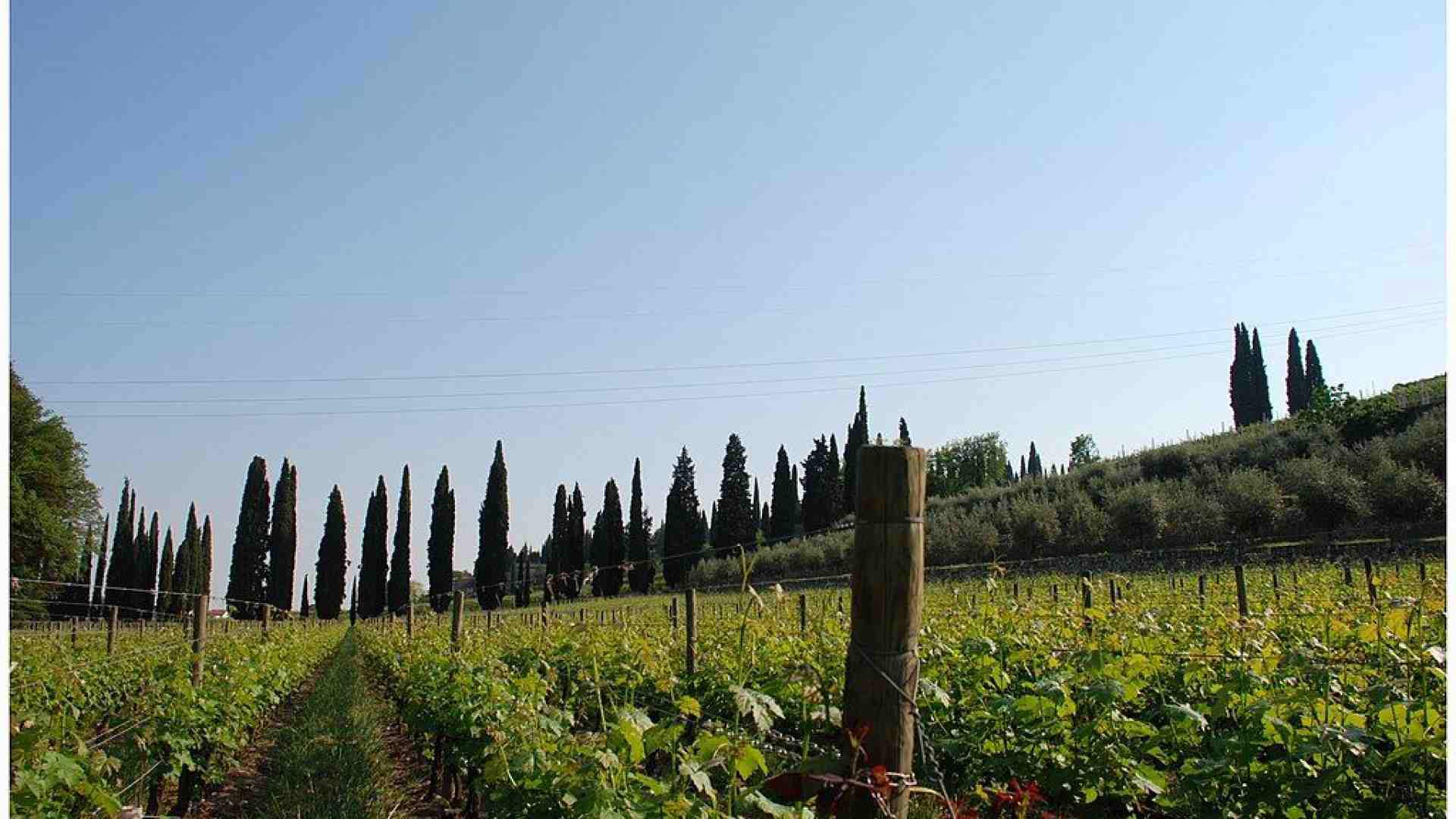 L'Annuario storico della Valpolicella finisce on line