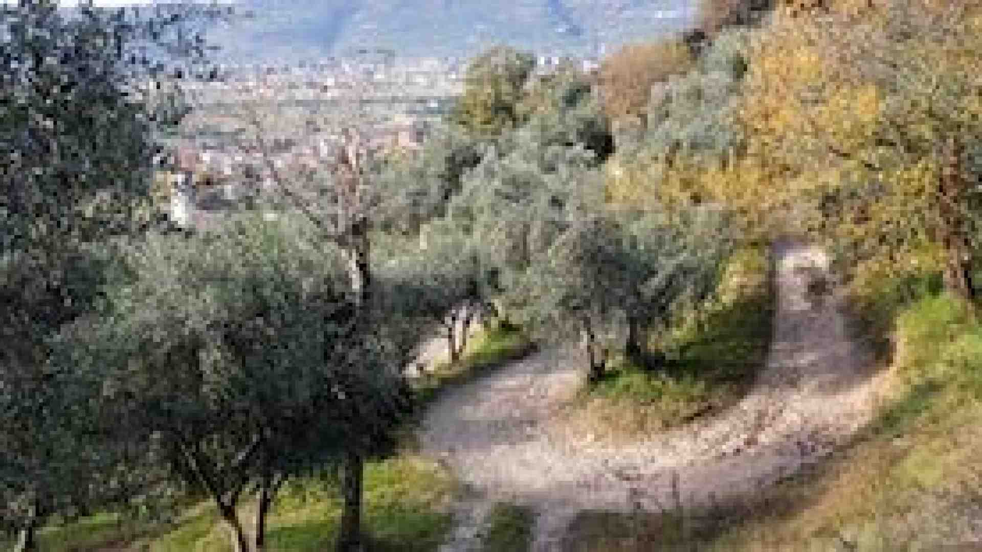 Su per il Piccolo Stelvio che vista dalla panchina!