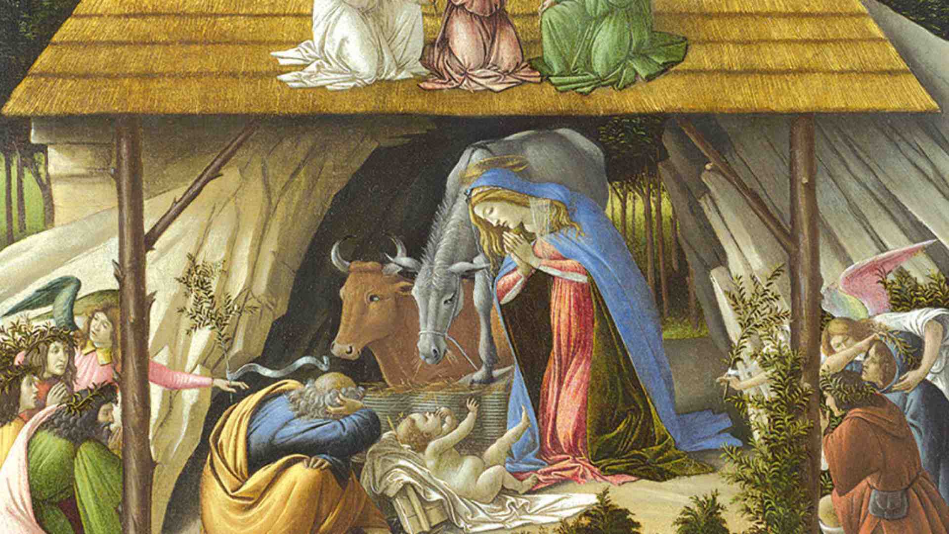 Gloria in cielo e pace in terra