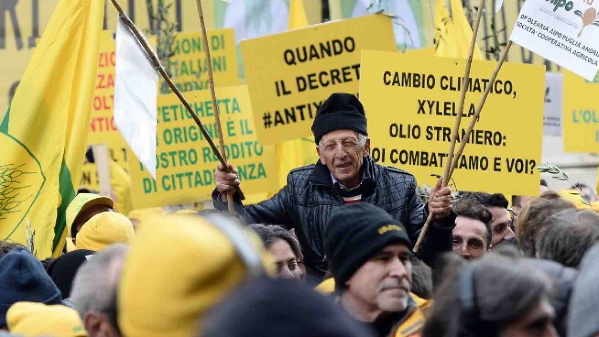 Gli impermeabili giallo Coldiretti