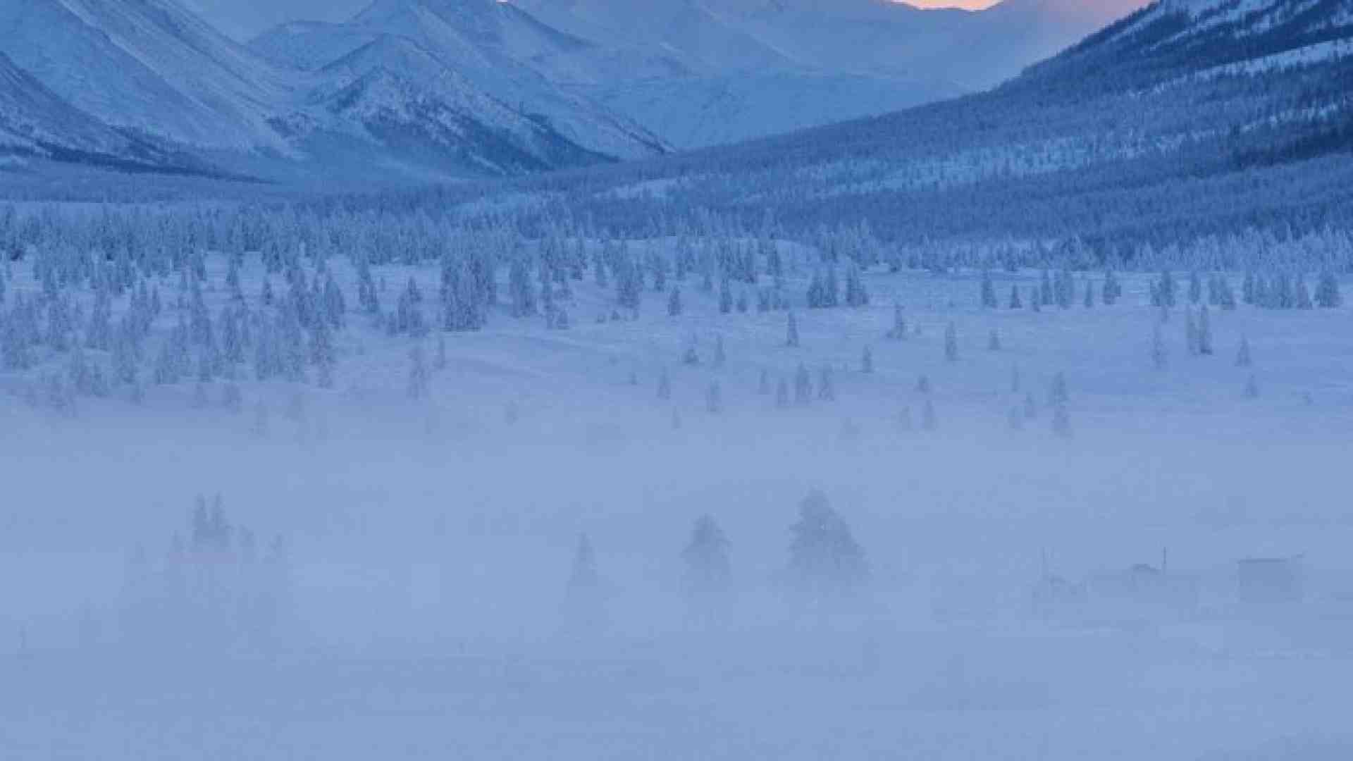 La foresta di Ojmjakon