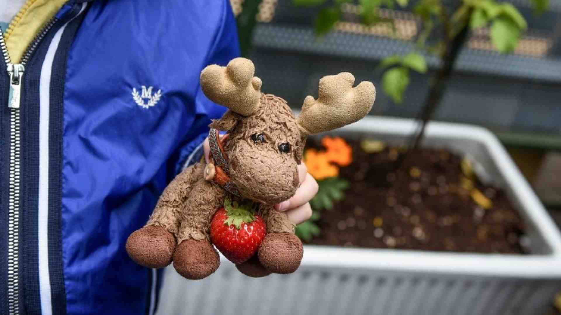 Ma dov’è Elkette?