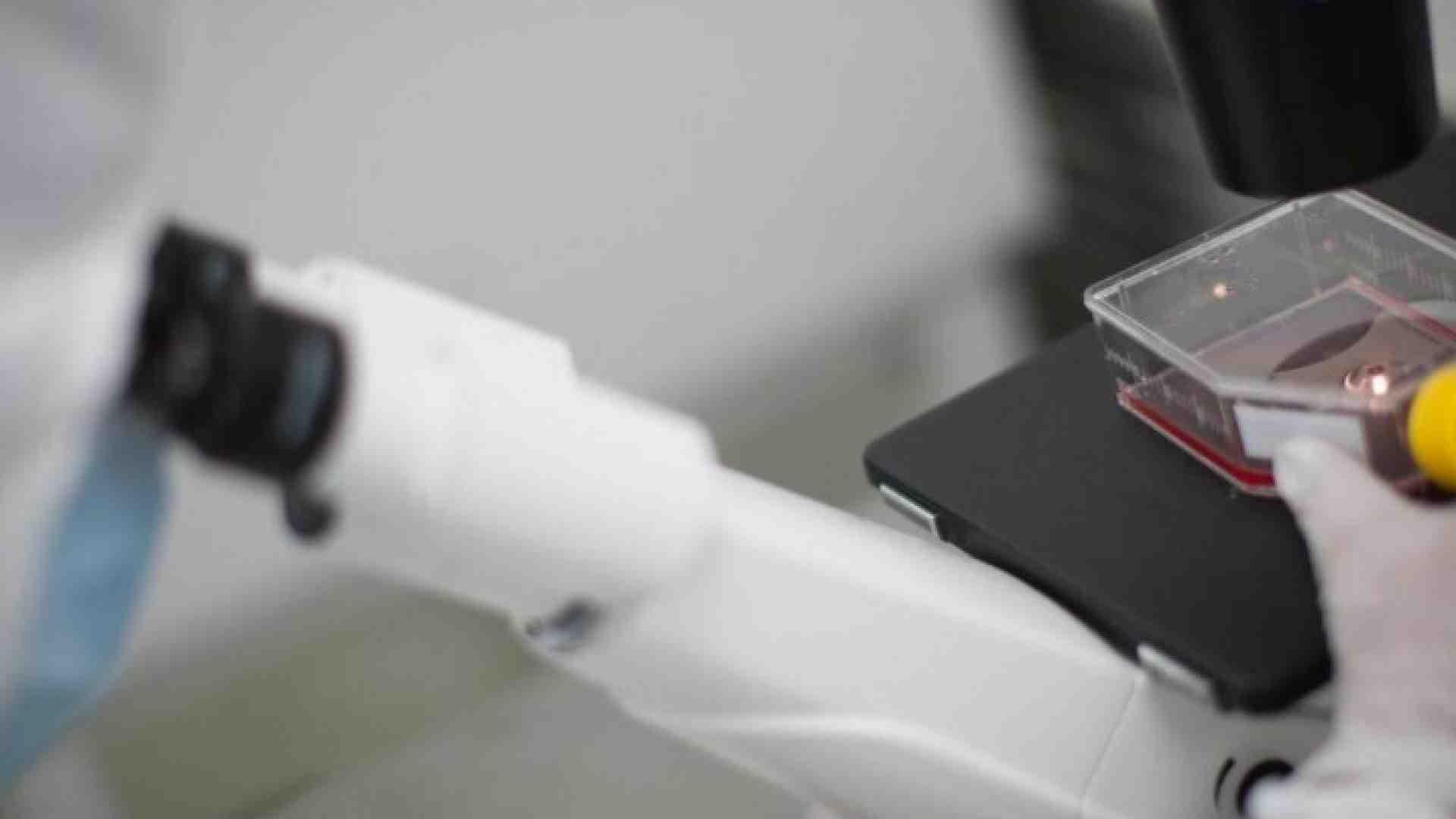 Il manifesto scientifico mancante