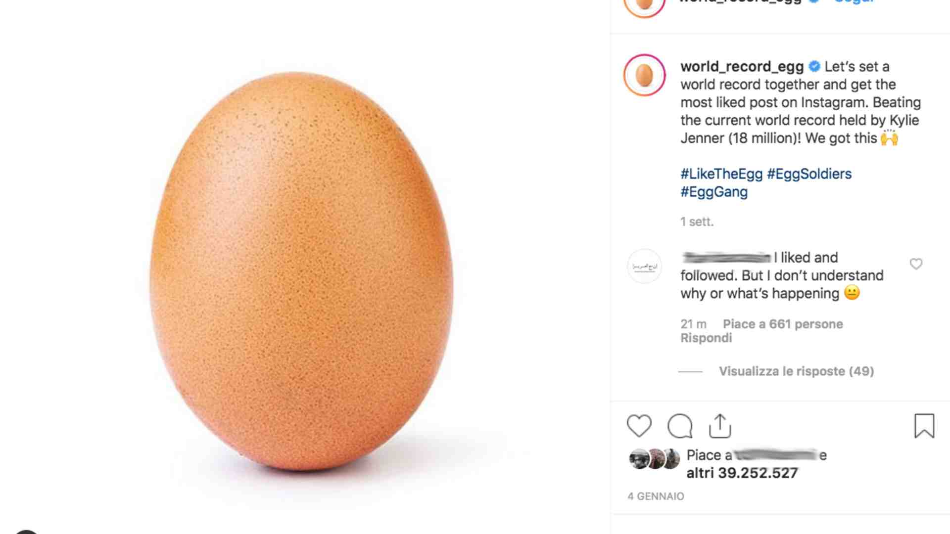 world_record_egg