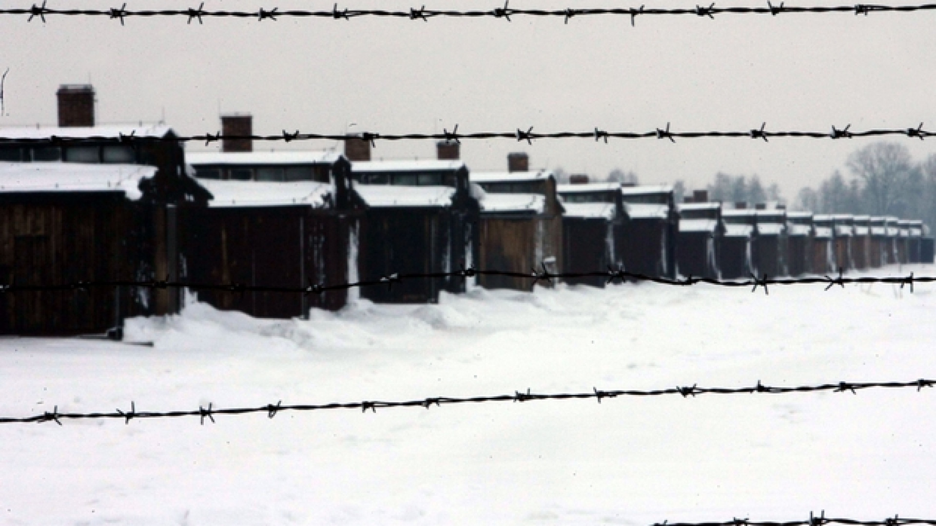 La poesia indaga l'abisso della Shoah