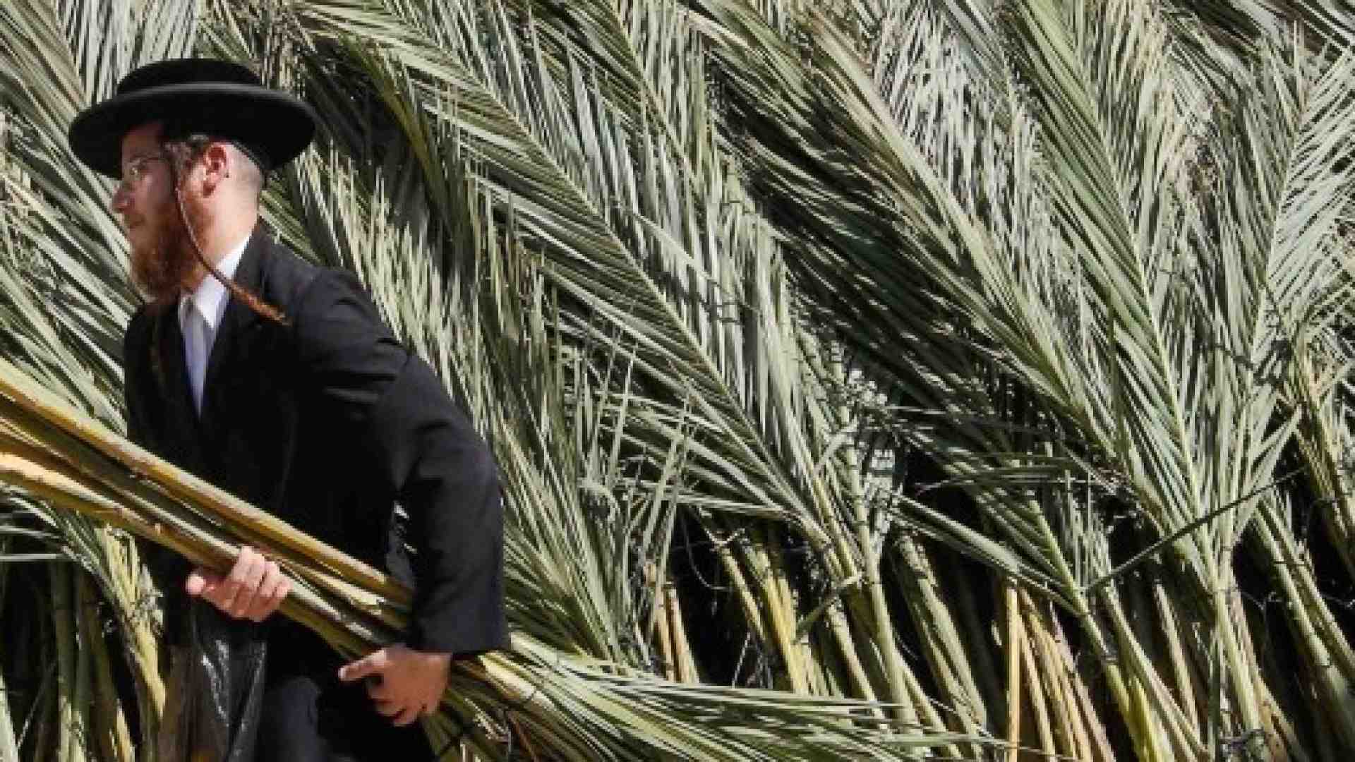 Esportare il modello Israele