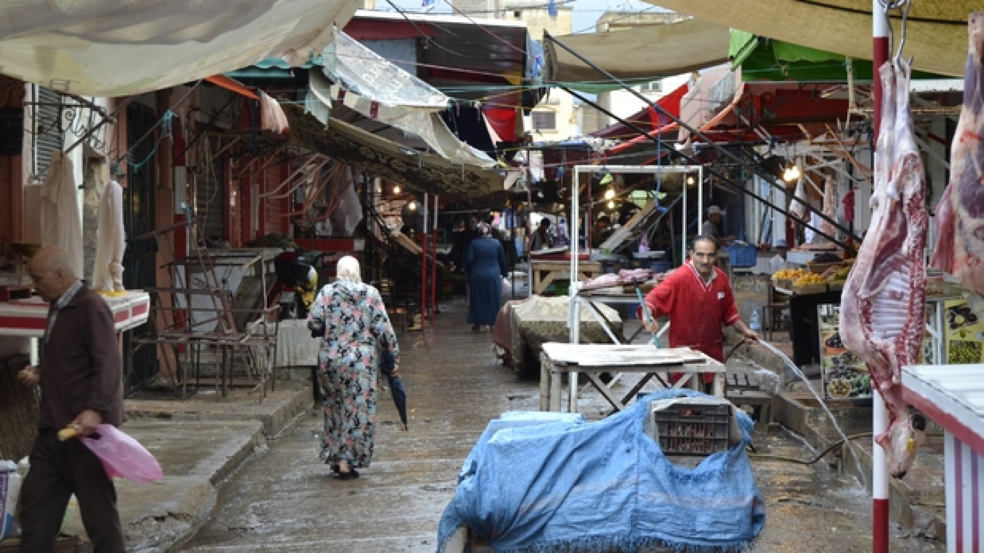 Dal Marocco all'Italia e ritorno: sviluppo solo a metà