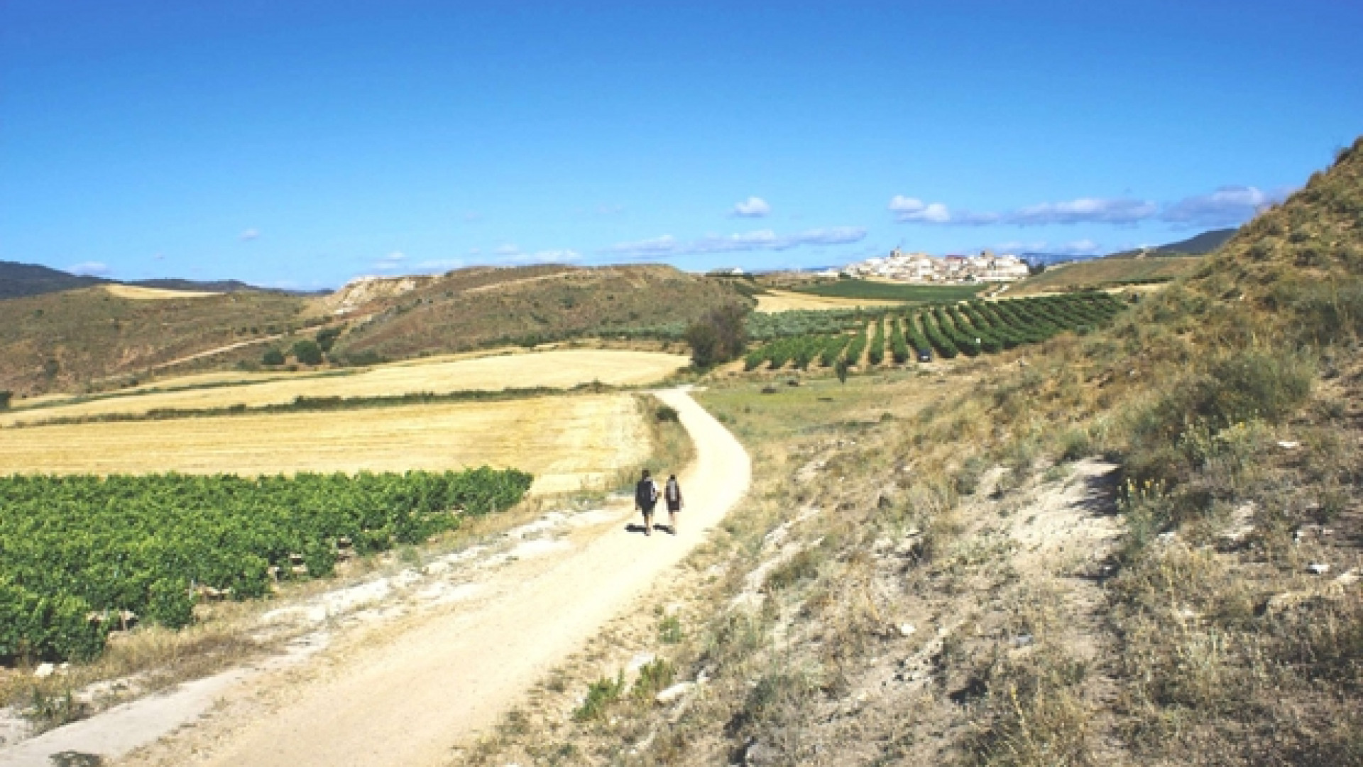 Cammini di fede: da Aquileia riparte la Romea Strata