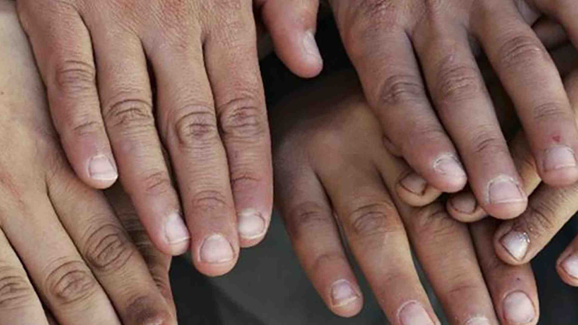 Affidi illeciti, "non infangare il lavoro di comunità e famiglie"