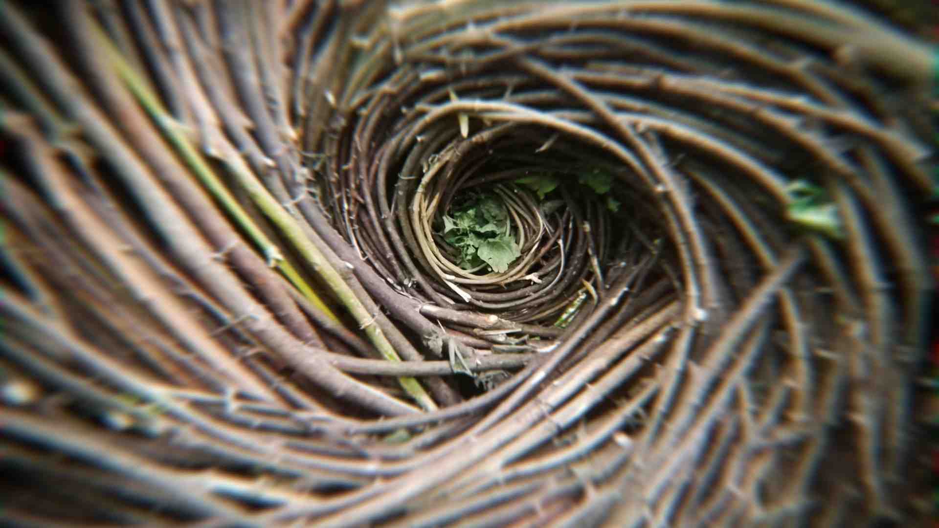 A Villa Buri tra arte e natura con "Linea Terra Acqua"