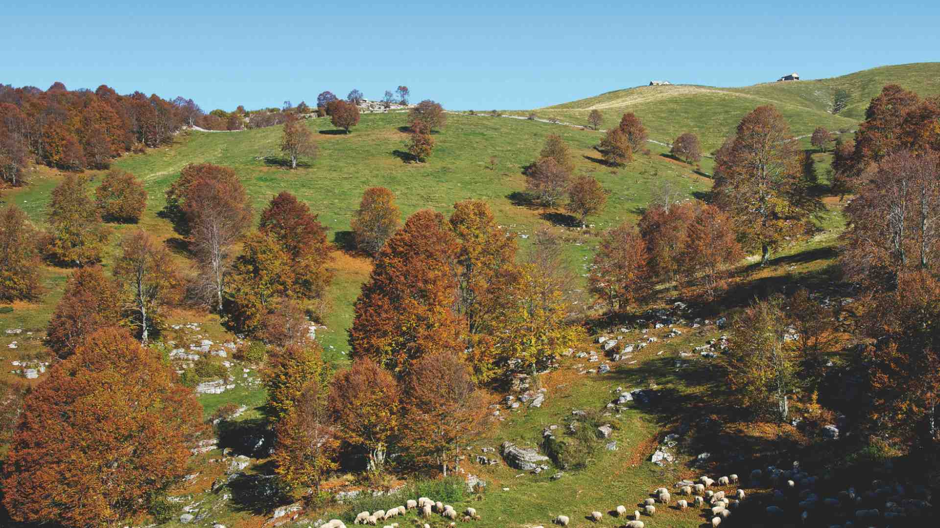 La montagna veronese trova spazio nel Quaderno