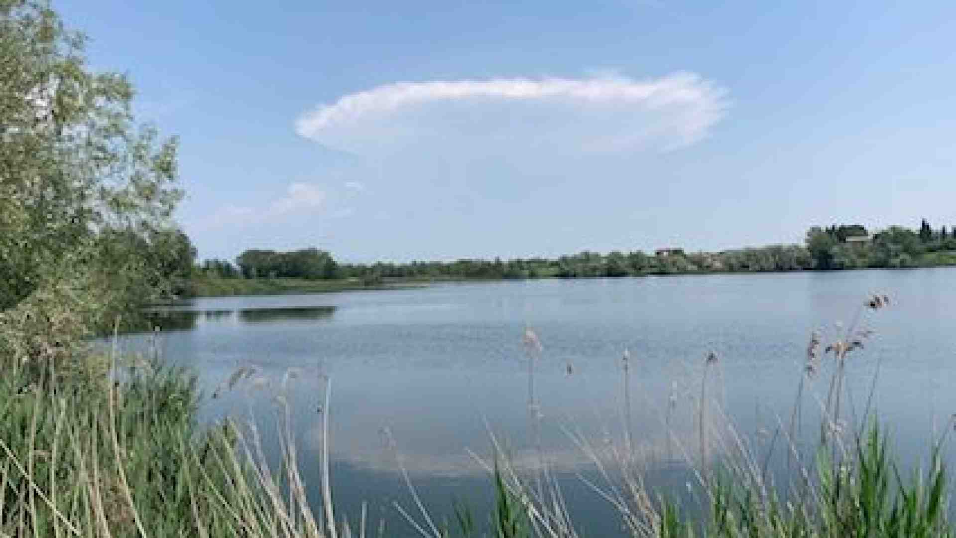 Attorno al laghetto del Frassino un’oasi di flora e fauna assai preziose