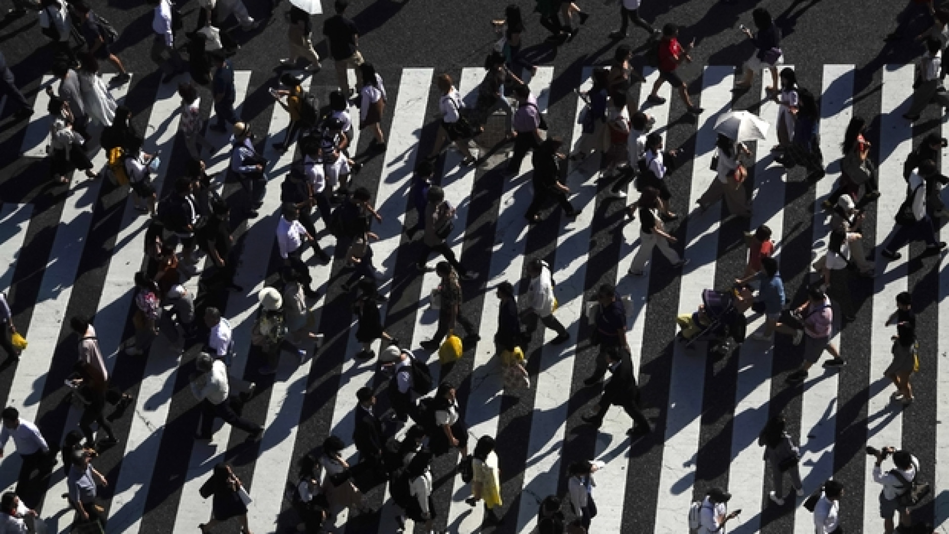 Faggioni: «Omosessualità, la morale non può ignorare la scienza»