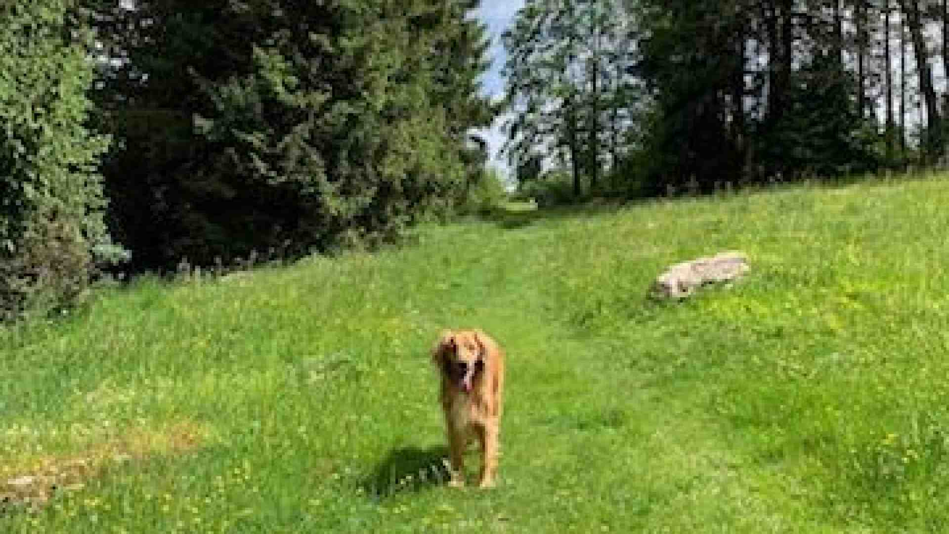 Contrade, boschi, giassare: qui la Lessinia più bella