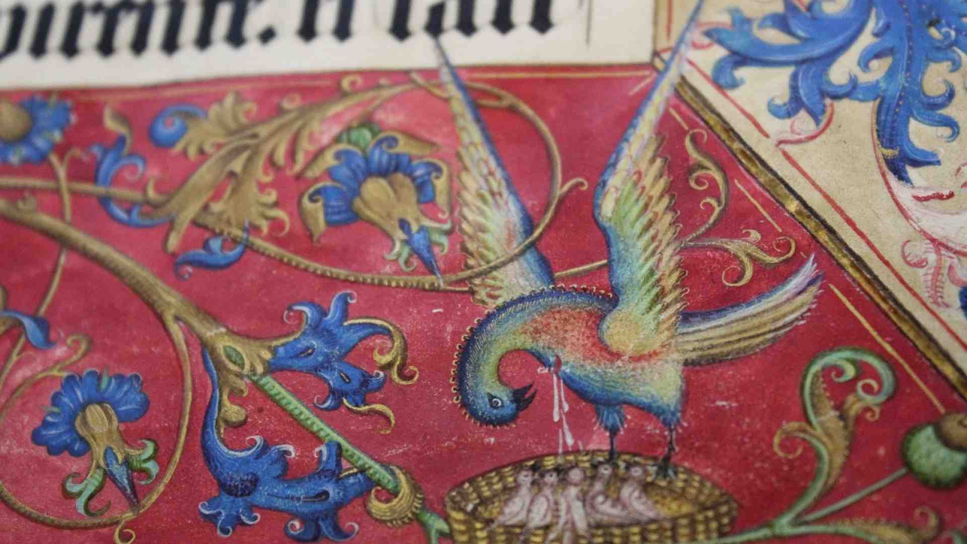 La Capitolare svela i suoi tesori