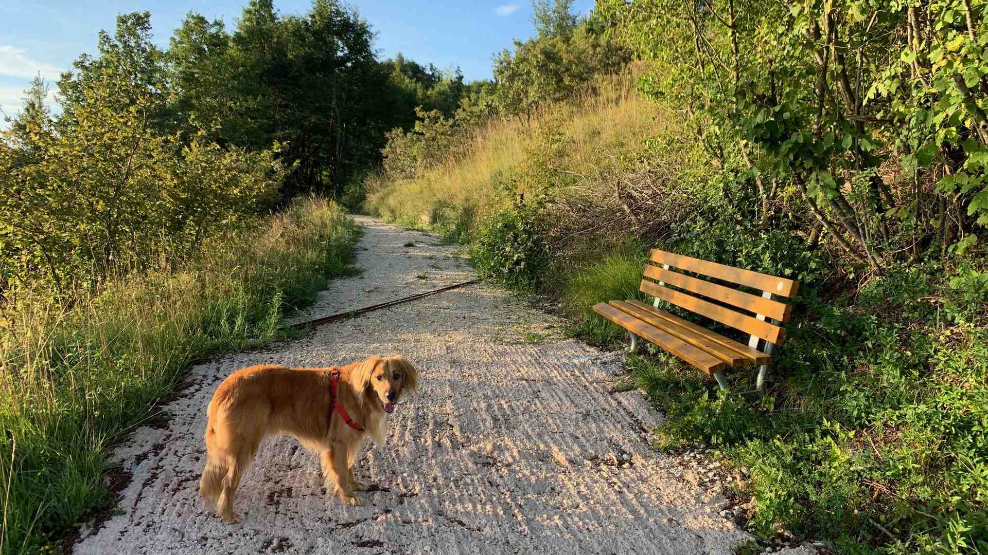 Lungo la Via della lana da Cazzano al Vicentino