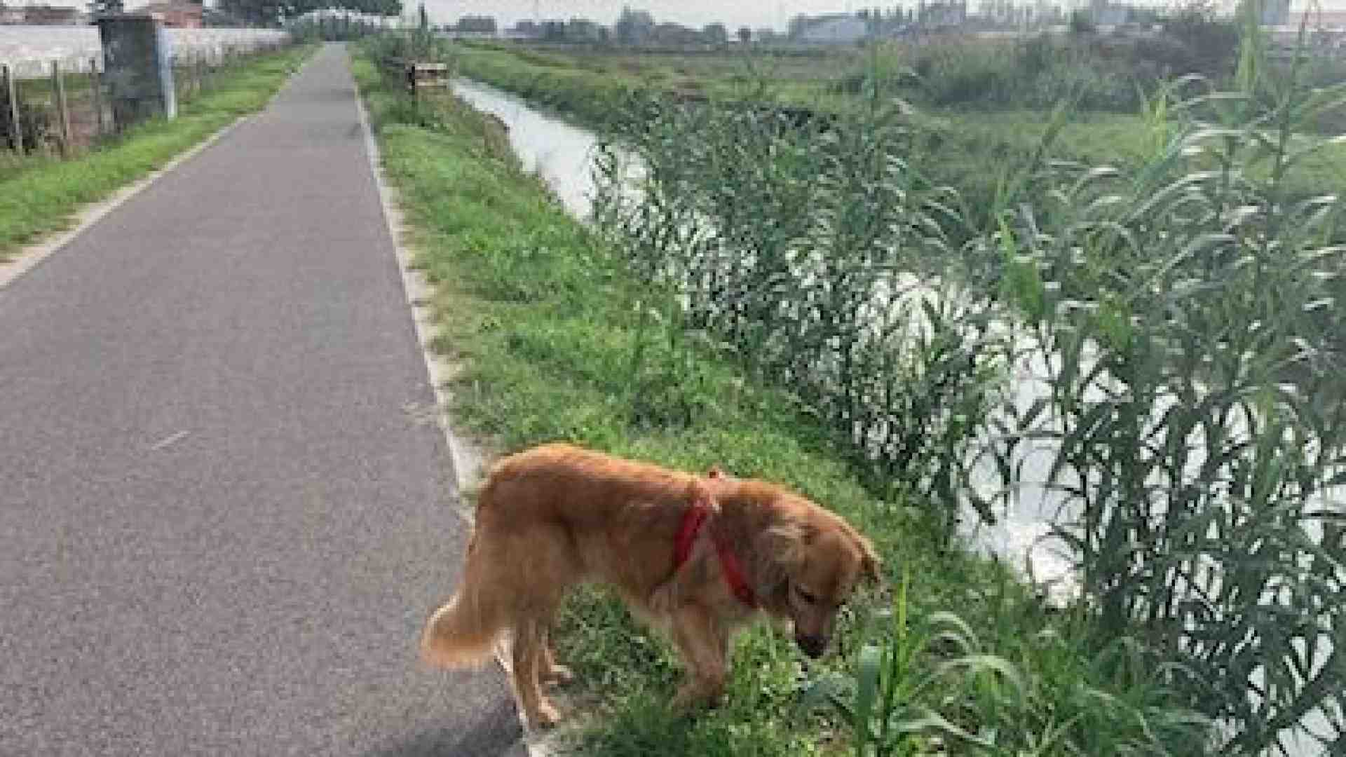 La ciclopedonale “scopre” la tranquillità di Buttapietra