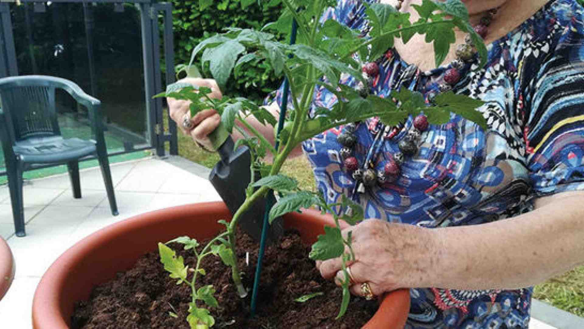 Primavera, il risveglio della natura ci rimette in moto per riattivare le nostre piante