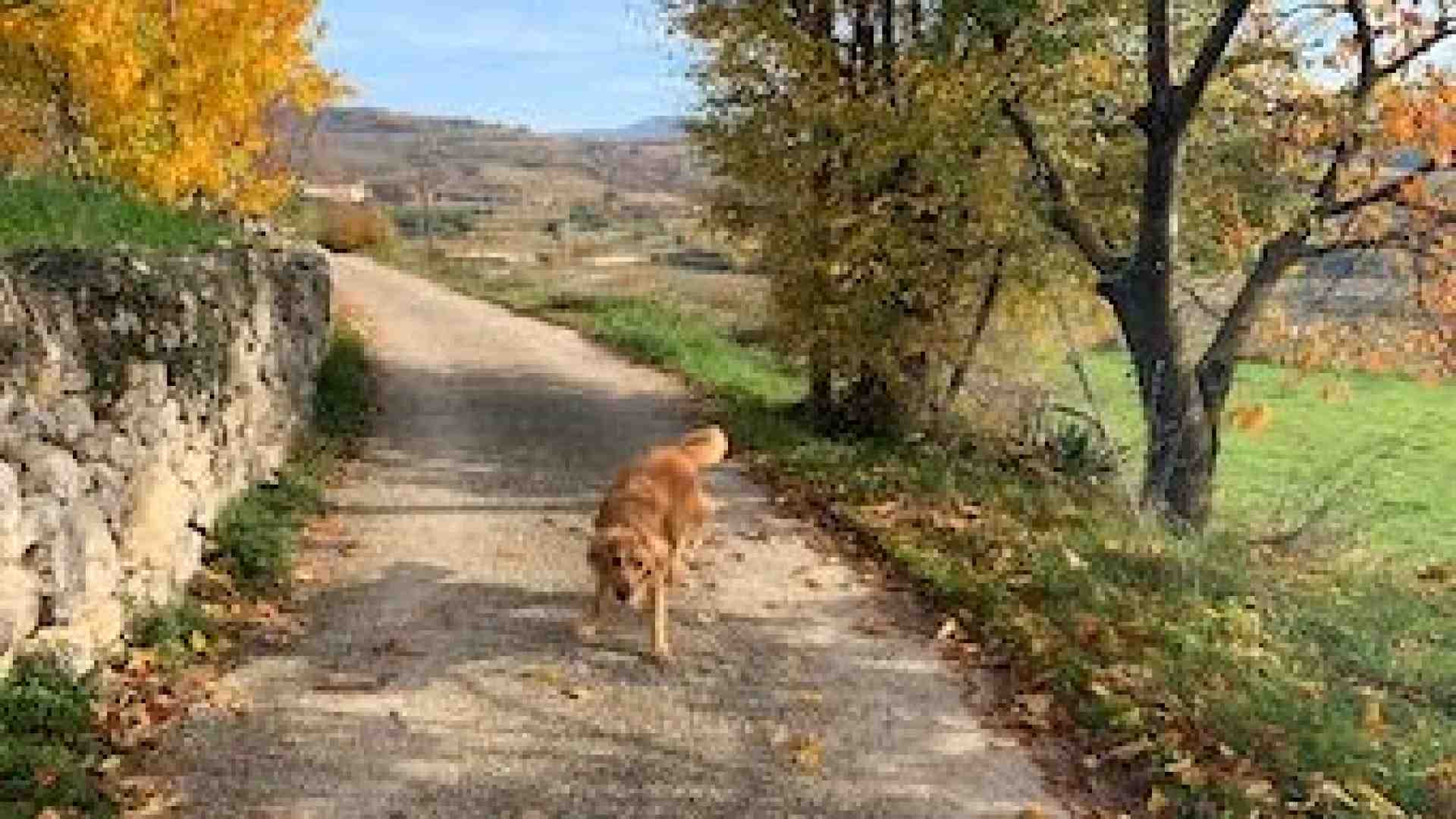 Valgatara: dove la Valpolicella mette in mostra il meglio di sé
