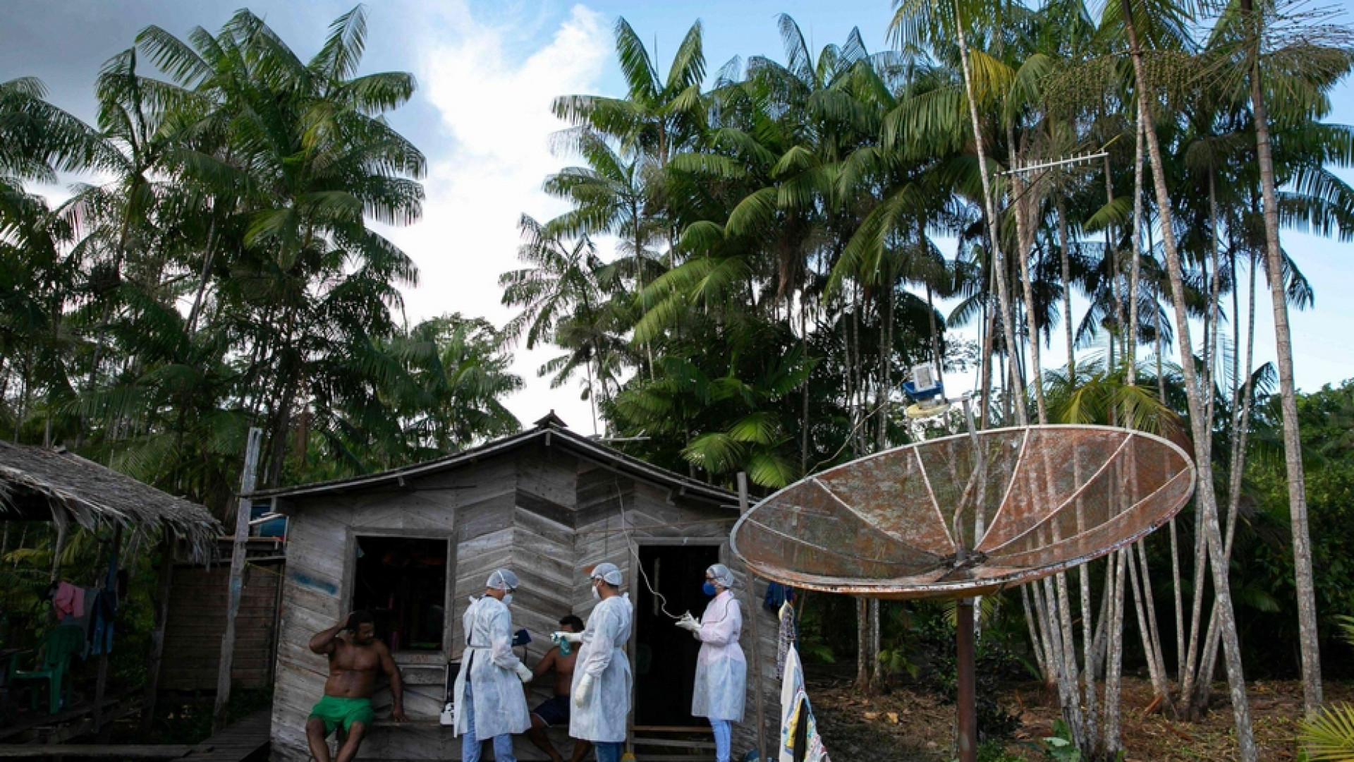 Artisti e scienziati rispondono al grido di aiuto dei popoli dell'Amazzonia