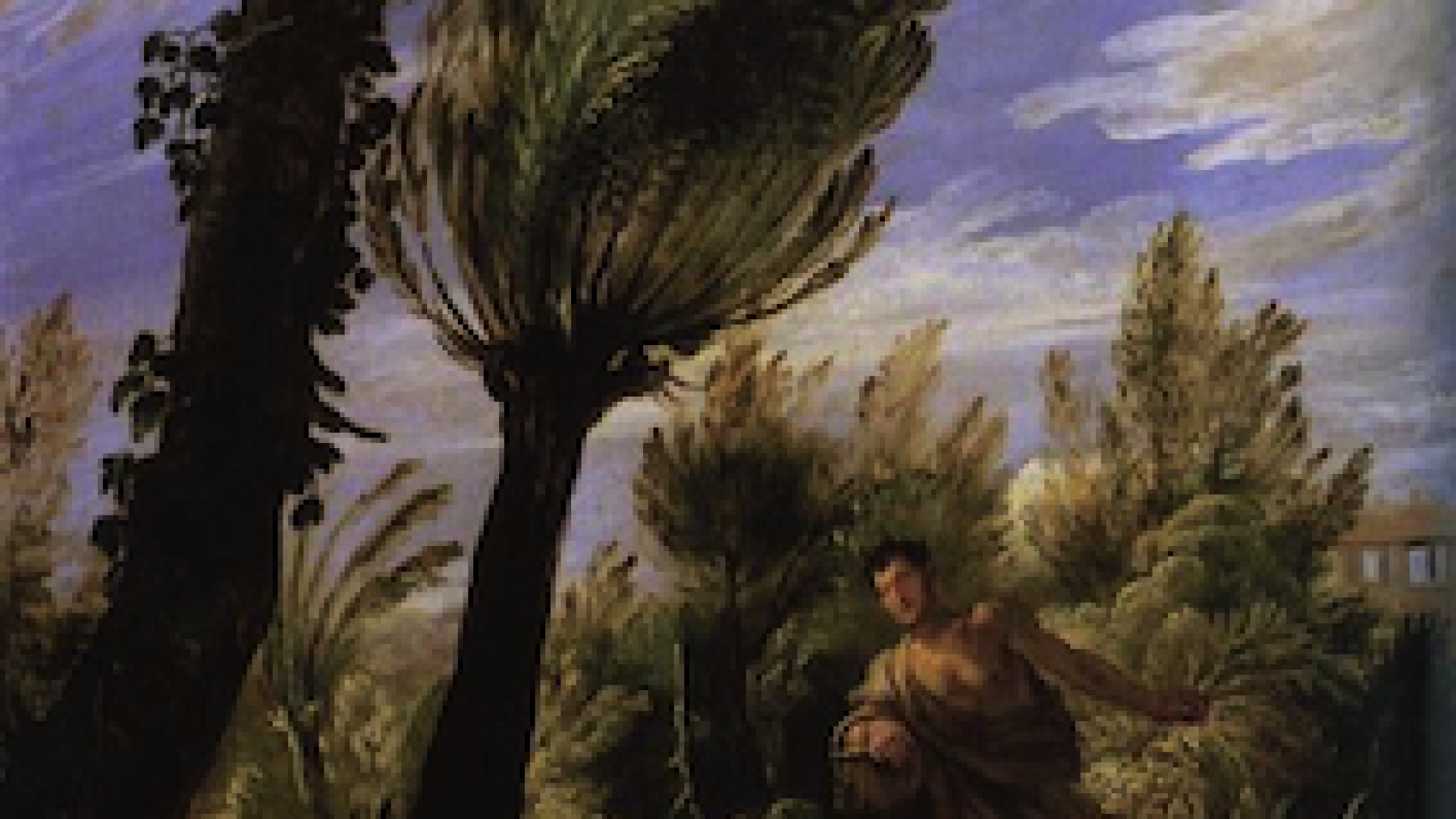 Pazienza e fiducia anche per chi semina la zizzania