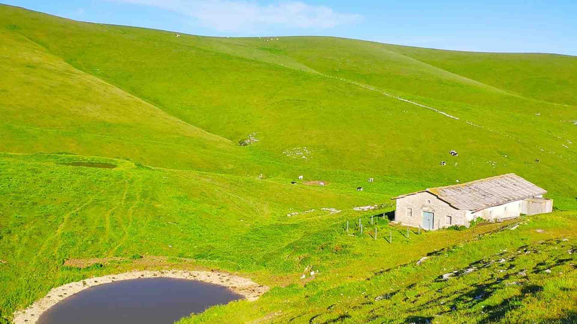 Estate di prossimità riscoprendo la Lessinia