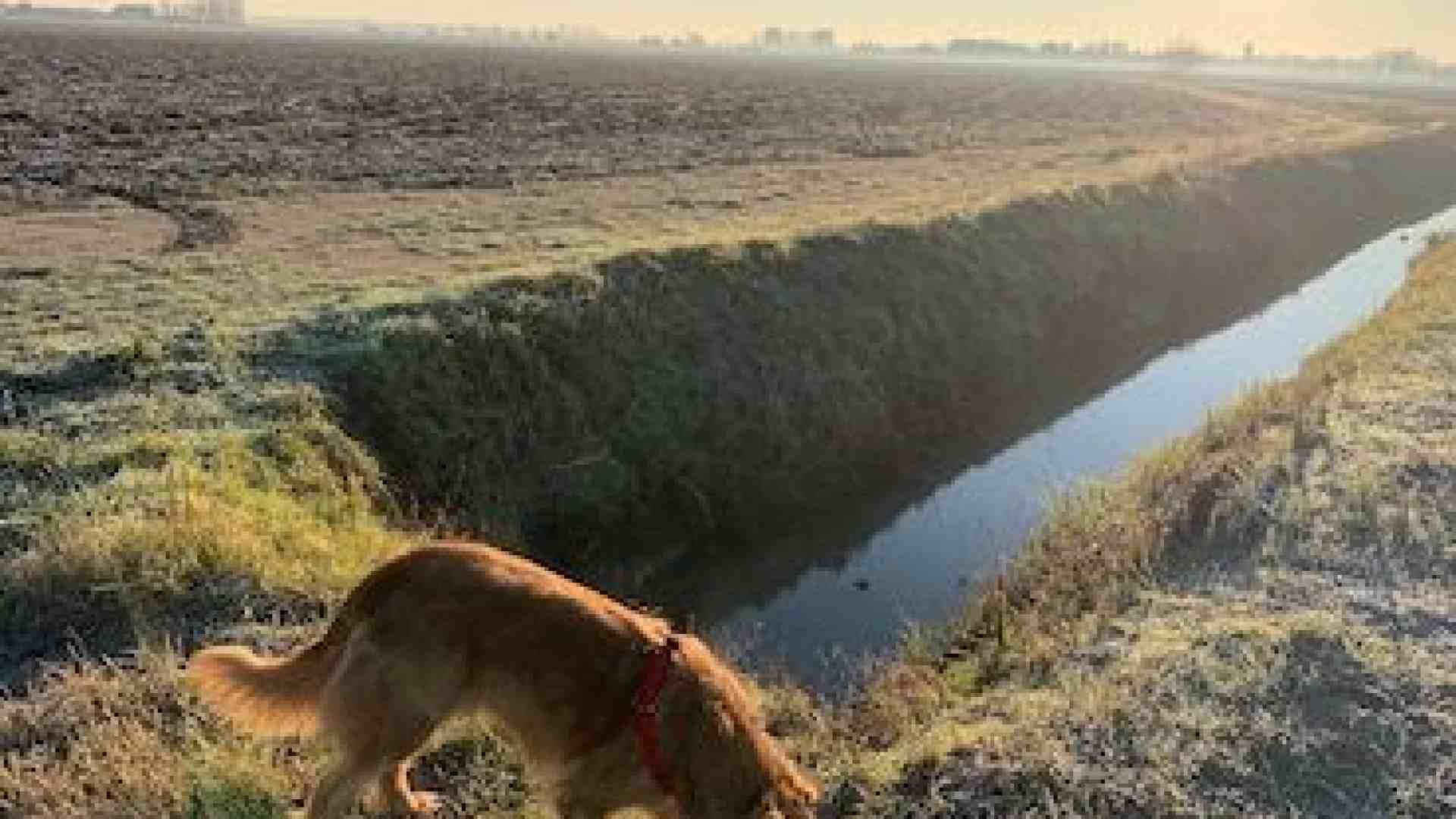 Insolita Concamarise tra natura, ville e chiesette