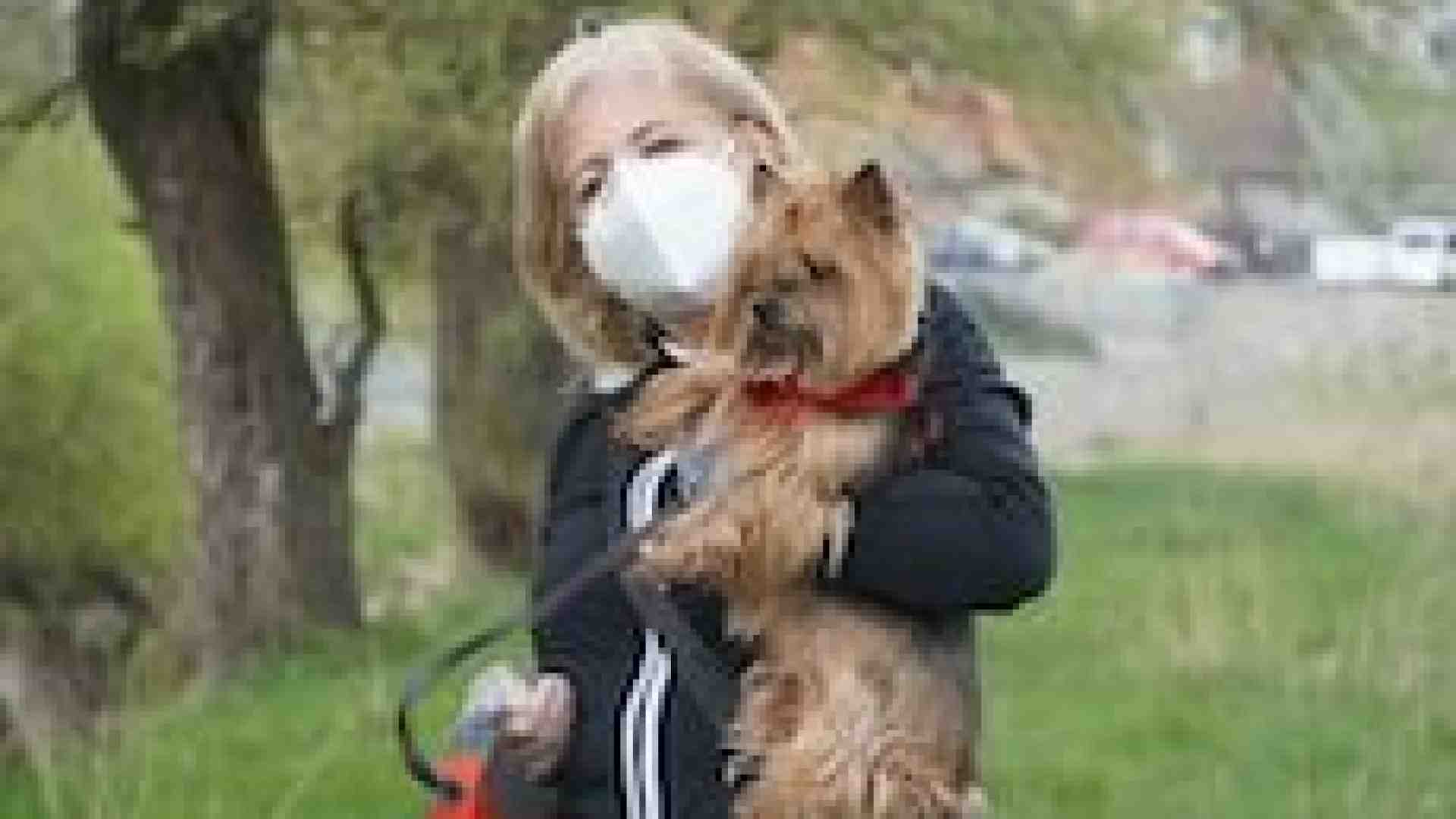 Anche i nostri cani e gatti hanno sofferto del sottosopra causato dal Coronavirus