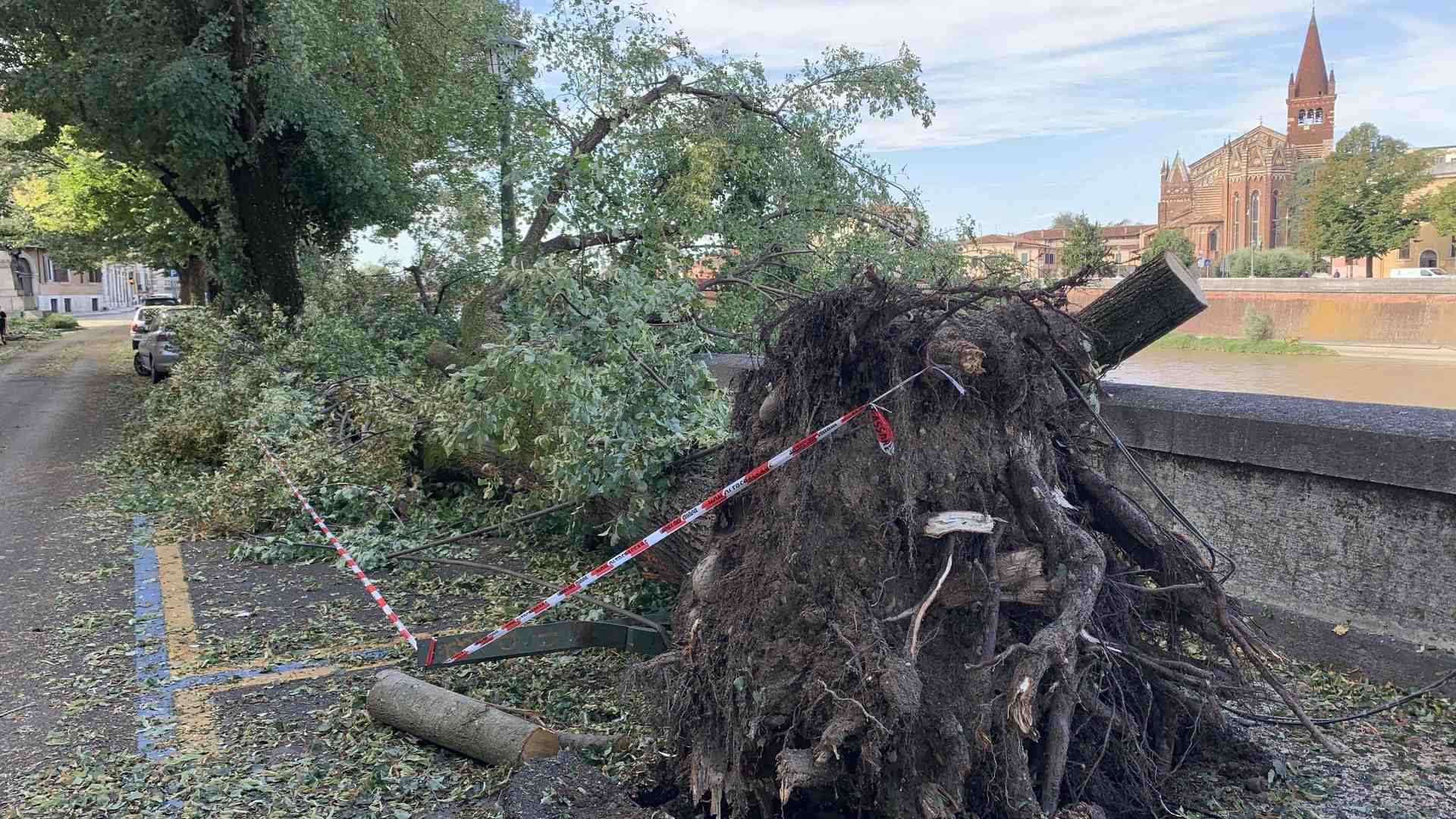 Verona sott'acqua: indaghiamo le cause di questi disastri