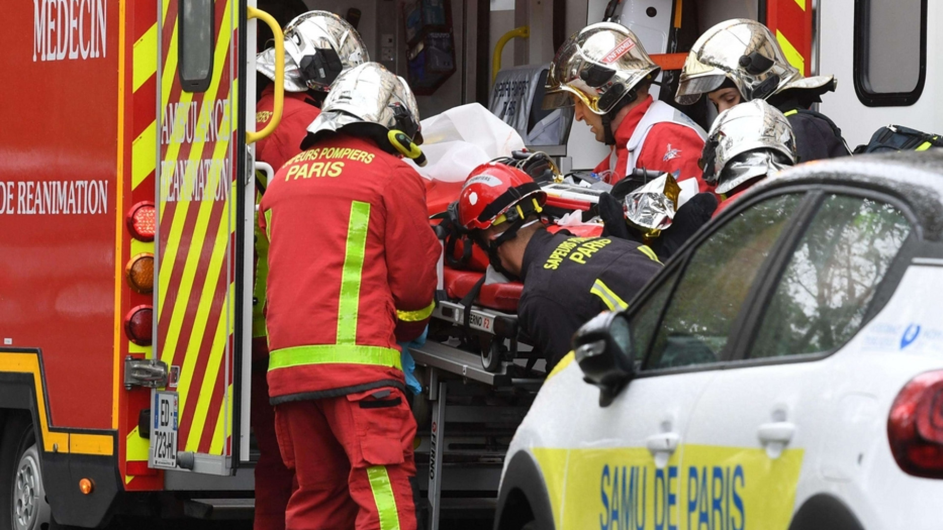 Il 18enne: «L'ho fatto perché non sopportavo quelle vignette»