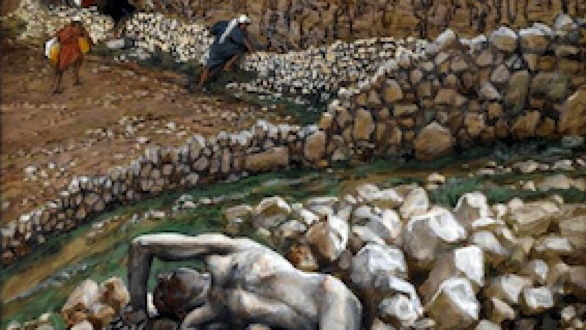 Custodire la vigna è dono e impegno per tutti