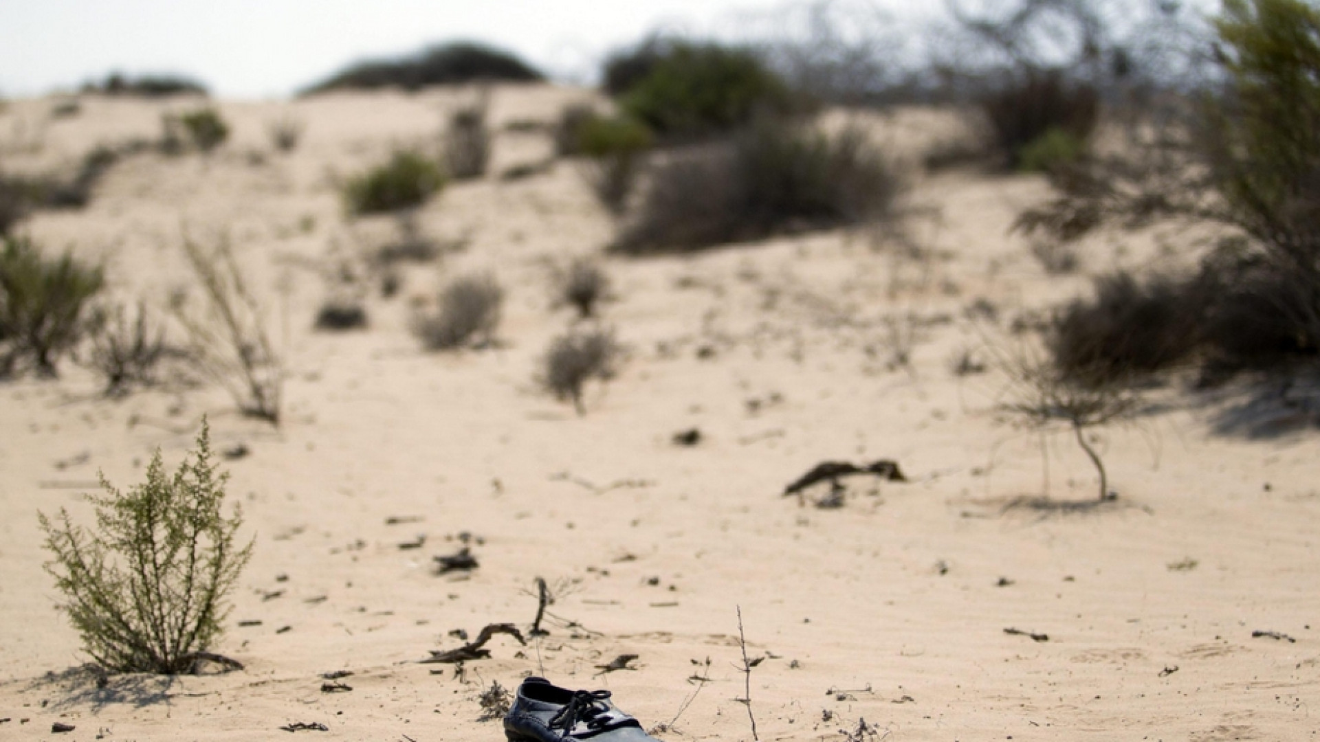 Migrazioni a causa del clima la storia chiede più impegno