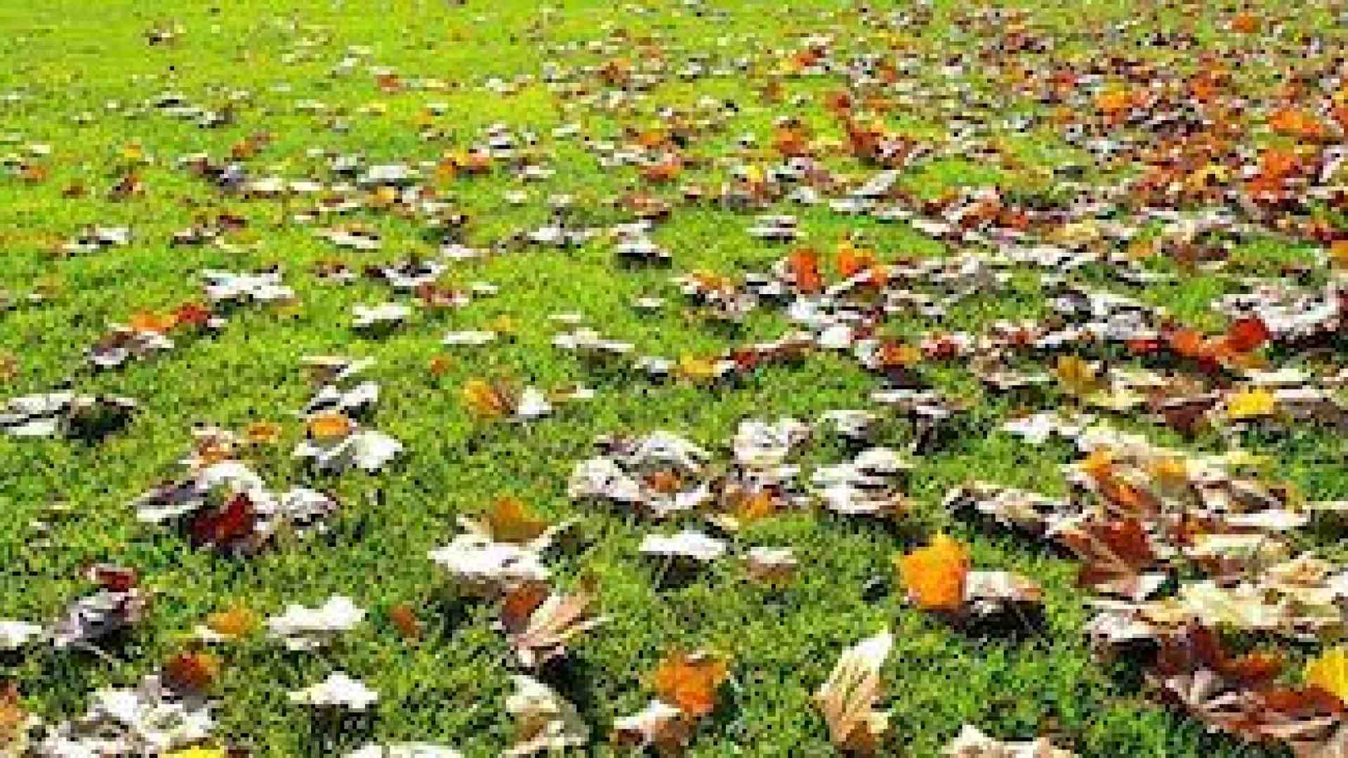 Prepariamo il nostro prato ad affrontare l’inverno