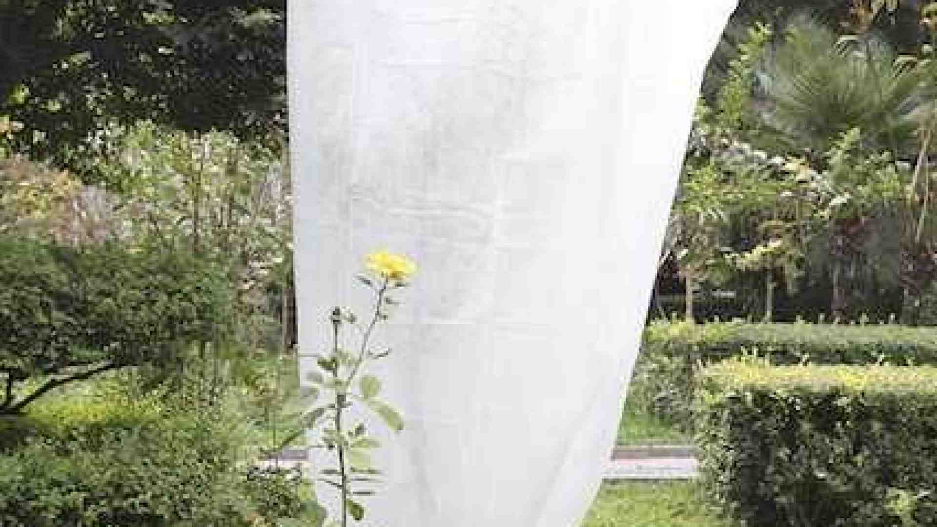 Proteggiamo le piante in autunno e in inverno