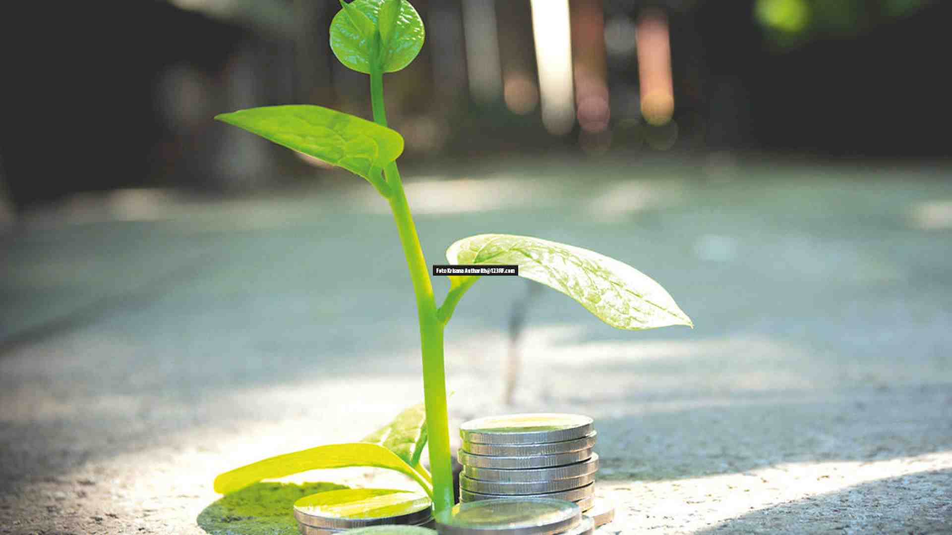 La mobilitazione di Assisi per una nuova economia