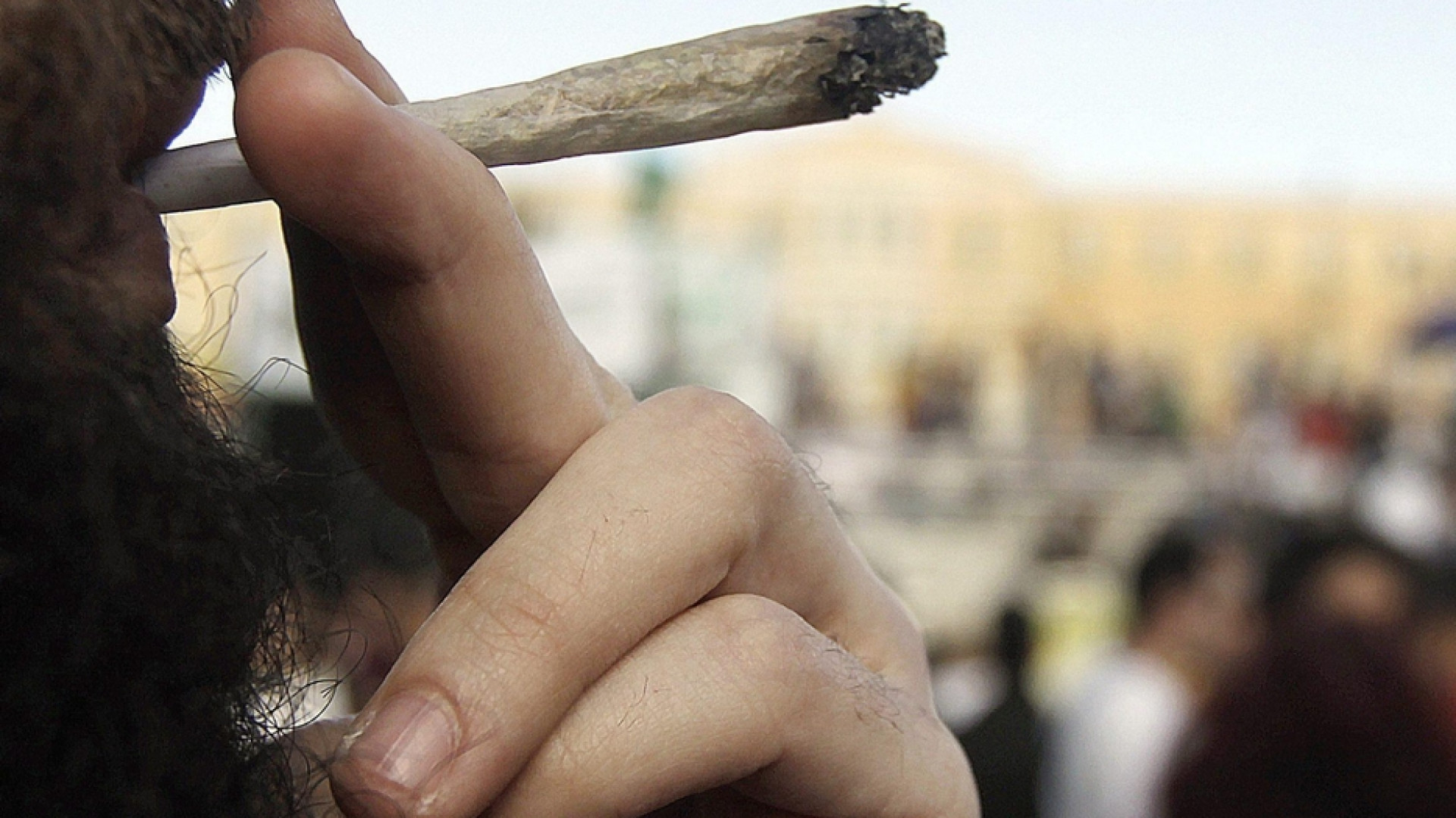 LʼOnu sulla cannabis: non è droga pericolosa